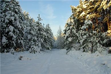 Win11新功能 告诉玩家电脑配置玩游戏是否够格